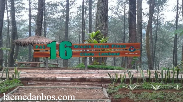 11 Rekomendasi Objek Wisata di Cikole Bandung